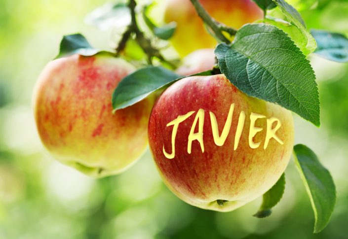 Apple03 Javier