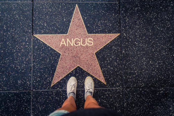 HollywoodStar Angus
